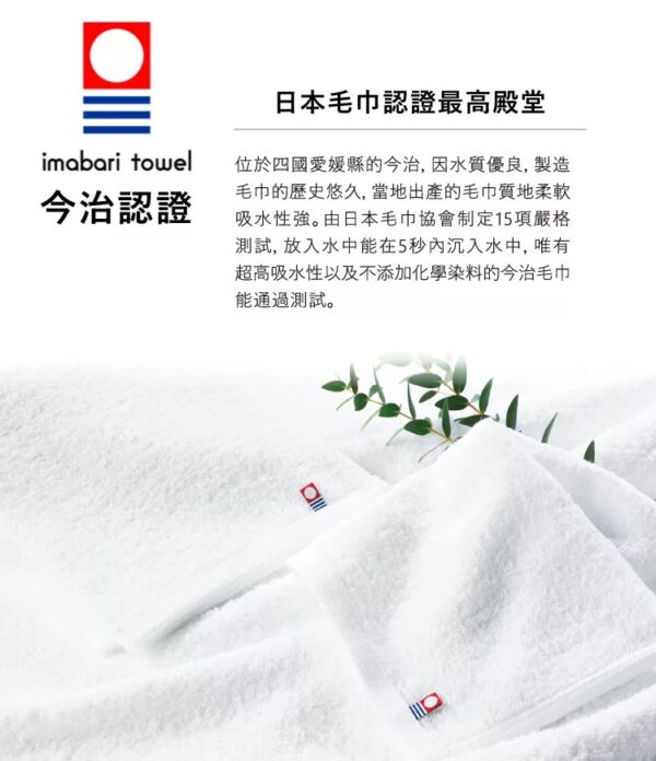 getImage 日本 丸真 SOU・SOU 京都新和風今治無撚毛巾(共兩款)