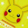 日本 Pokémon 寶可夢小方巾（共四款）