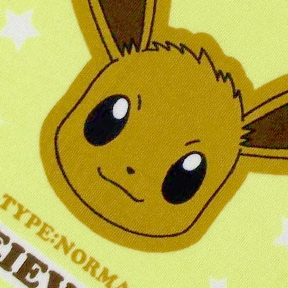 日本 Pokémon 寶可夢小方巾（共四款）