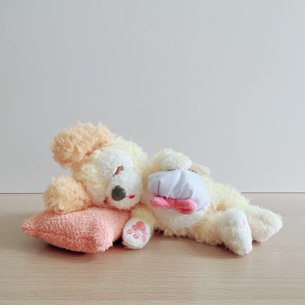 LINE_ALBUM_2023918_230925_435 達菲熊家族 Sweet Dreams系列-可琦安(CookieAnn)趴睡絨毛玩偶